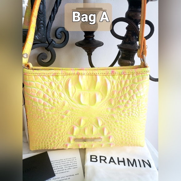 Brahmin - Picture 2 of 7